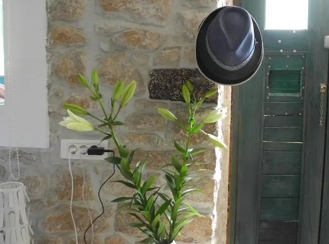 Steinhaus Mit Terrasse Διαμέρισμα *