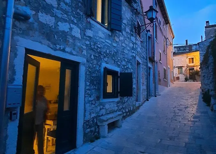 Steinhaus Mit Terrasse Διαμέρισμα Ρόβινι